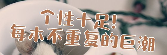 个性十足！每本不重复的巨潮